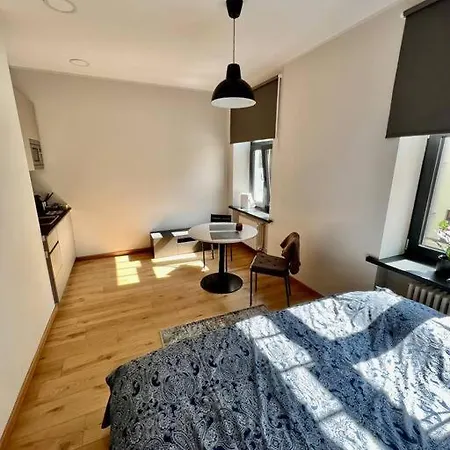Riga's Essence: Stylish Apartment